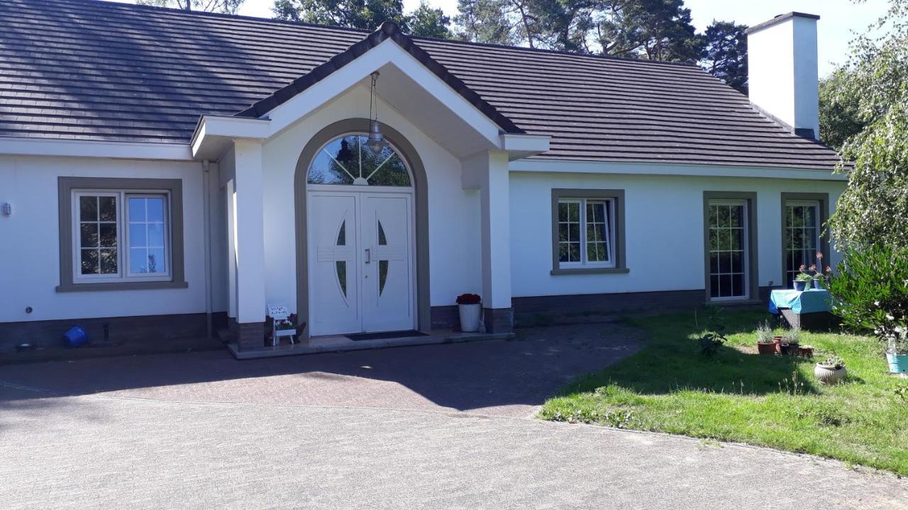 B&B De Tulp Retie Екстериор снимка